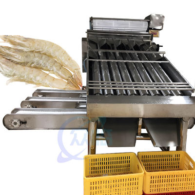 Peralatan pengolahan makanan laut dan udang 304 stainless steel mesin pemilihan spesifikasi ikan dan udang