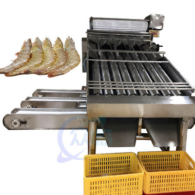 Harga yang bagus Peralatan proses seafood mesin cuci grading udang Lini produksi udang mesin grading cuci udang on line