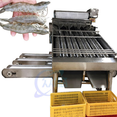Harga yang bagus Peralatan proses seafood mesin cuci udang grading Mesin sortasi udang otomatis untuk pengupasan udang on line