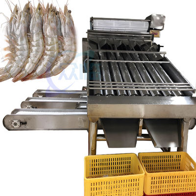 Harga yang bagus Mesin pembersih dan pemeringkat udang Mesin pemeringkat udang otomatis Mesin pemeringkat udang yang disesuaikan sesuai kebutuhan on line