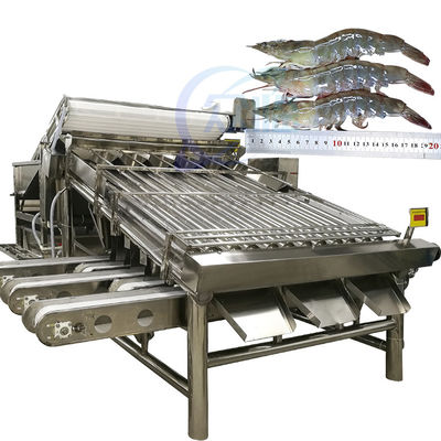 Harga yang bagus Otomatis udang pengurut udang pemeringkat mesin pemeringkat udang segar mencuci mesin pemeringkat rolling on line
