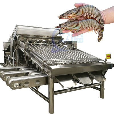 Harga yang bagus Mesin pemroses dan pemilah ikan yang efisien Ukuran ikan dan spesifikasi mesin penyaring on line