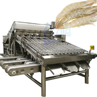 Mesin pengurut dan pemeringkat lobster Mesin pengurut udang Mesin pemeringkat udang