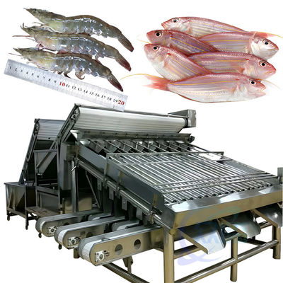 Harga yang bagus Mesin pemrosesan udang otomatis untuk mengupas udang baru, mencuci udang segar, mesin pemrosesan gulung, penggiling udang on line