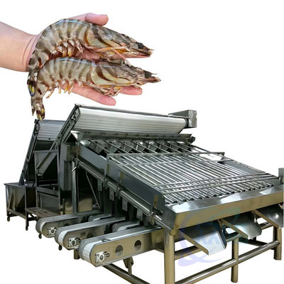 Harga yang bagus Pengelompok Pengolahan Udang Seafood Otomatis Udang Cepat Ukuran Pengelompok Mesin Penyaringan Produksi Udang on line
