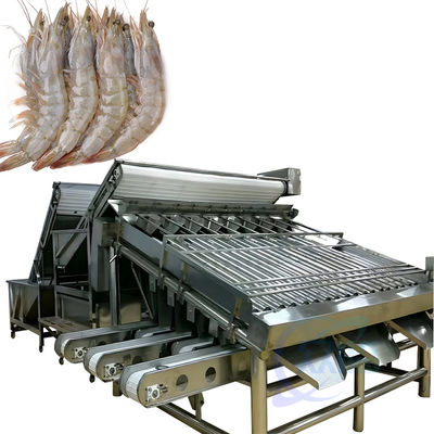 Harga yang bagus Garis produksi mesin pembersih udang dan ikan terintegrasi Mesin pemeringkat udang drum besar yang disesuaikan on line