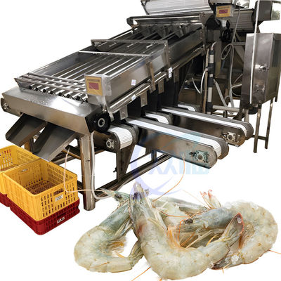 Harga yang bagus Smart 304 stainless steel mesin pemisahan udang handal cocok untuk industri makanan laut mesin pemisahan udang on line
