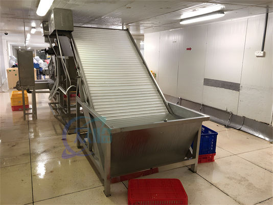 Smart 304 stainless steel reliable shrimp sorting machine suitable for seafood industry shrimp sorting machine