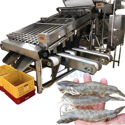 Harga yang bagus Separator Udang Mesin pemisahan udang presisi tinggi untuk pengolahan makanan laut on line