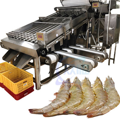 Harga yang bagus Mesin pemrosesan ukuran ikan dan udang mesin pemrosesan ukuran ikan on line