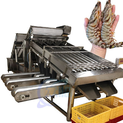 Peralatan mesin pemeringkat udang Mesin pemeringkat ikan sardine balam multi-stage
