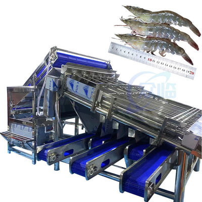 Mesin pemisahan kerang mesin pembersih dan pemisahan udang, penggilingan, pengelupasan dan pemotongan gulma udang secara otomatis