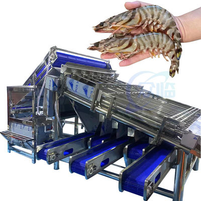 Peralatan Makanan Laut Mesin Pengupas Udang Mesin Pengolahan Kerang Udang Mesin Roller Baja Rostless Udang Cepat Grading Mac