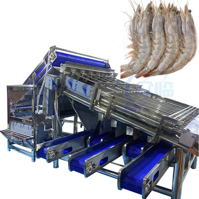 Harga yang bagus Mesin pemeringkatan dan pemeringkat ikan dan udang multi-fungsi otomatis penuh Mesin pemeringkat udang roller cepat yang disesuaikan on line