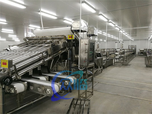 Fully automatic multi-functional fish and shrimp sorting and grading machine Customized roller rapid shrimp grading mach