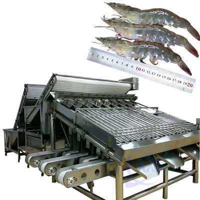 Harga yang bagus Mesin pemrosesan pengelompokkan makanan laut dan udang, mesin pemrosesan udang dan ikan, mesin pemrosesan udang dan udang on line