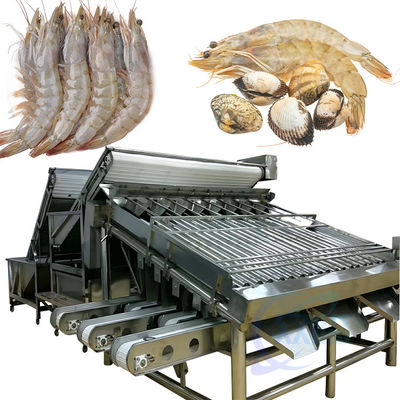 Harga yang bagus Mesin pemisahan ukuran udang Pembersihan skala ikan dan jalur pengolahan Mesin pemisahan jalur produksi on line