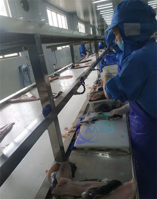 Harga yang bagus Mesin Pengupas Ikan Nila 304 Stainless Steel Profesional Mesin Pengupas Ikan Nila 0,75KW on line