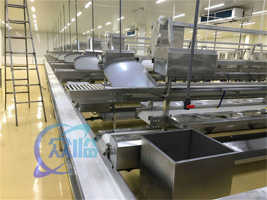 Harga yang bagus 1506kg Lini Produksi Makanan Laut Baja tahan karat Custom Workbench Lini Pengolahan Ikan Dan Udang Sabuk Conveyor on line