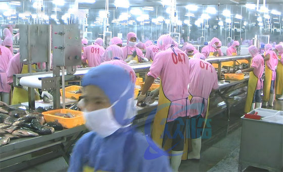 Harga yang bagus 3.07KW Fish Descaling Produksi Line Assembly Shrimp Processing Conveyor Belts on line