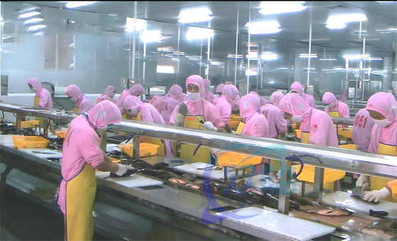 3.07KW Fish Descaling Production Line Assembly Shrimp Processing Conveyor Belts