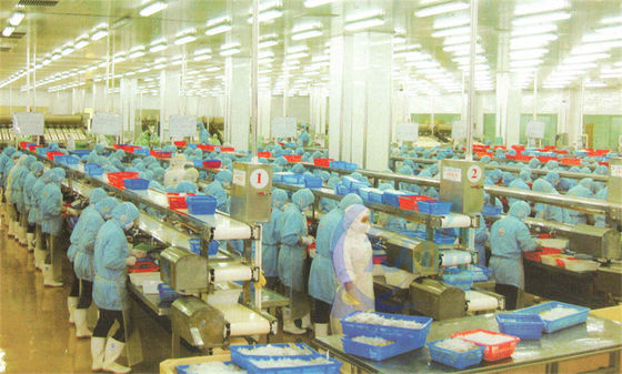 Harga yang bagus Customization Frame stainless steel Pengolahan makanan assembly line sabuk conveyor pengolahan ikan conveyor on line