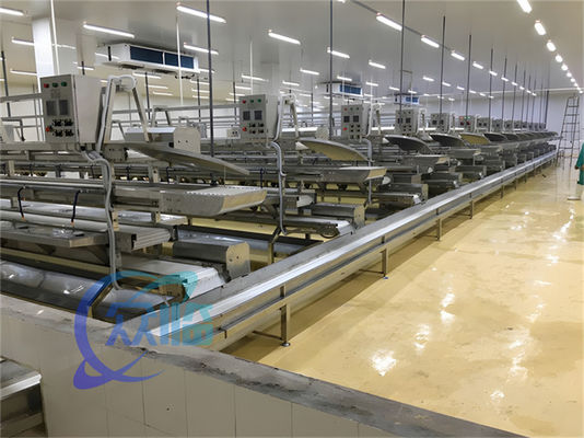 Harga yang bagus 3.10KW Conveyor line pengolahan ikan Fish Descaling Line Produksi Catfish Skinne on line