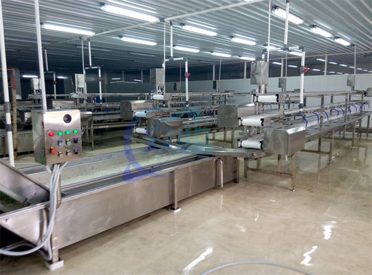 2.22KW SS Mesin Cuci Untuk Buah dan Sayuran Proses Produksi Lini Salat Kubis Air Spray Mesin Cuci