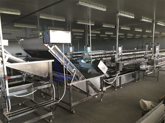 Stainless Steel Seafood Processing Equipment Fish And Shrimp Speed Controller High Pressure Bubble Cleaner