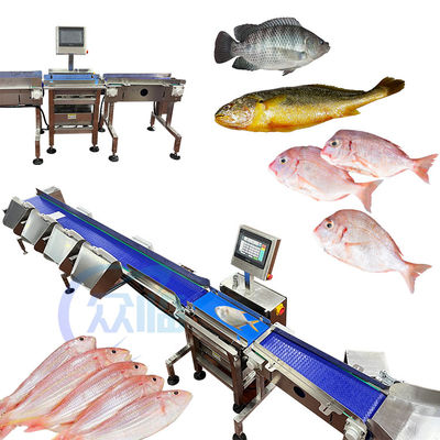 Harga yang bagus Mesin Pengelompokkan Ikan Kontrol Komputer Mesin Pengukuran Ikan Untuk Tilapia Basa Pengelompokkan Ikan Paus on line