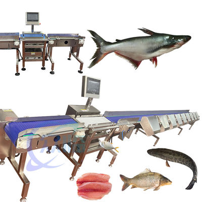 Harga yang bagus Mesin Pengelompokkan Ikan Presisi Tinggi SUS 304 Mesin Pengelompokkan Ikan awet Mesin Pengelompokkan Ikan Otomatis on line