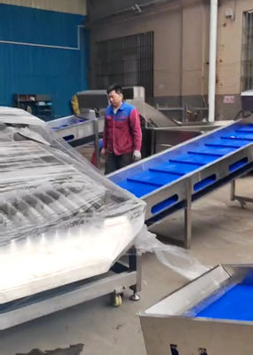 Harga yang bagus Kapasitas besar 5-10T/H Pelagic Fish Grader Untuk Otomatis Fish Grading Line on line
