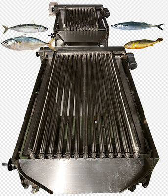 Harga yang bagus Empat Gaya Otomatis Pelagic Ikan Klasifikasi Line Dan Sorting Ikan Kecil Line on line