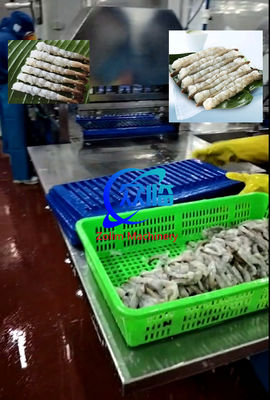 Harga yang bagus Tempura Otomatis Shrimp Stretching Machine, Mesin NOBASHI, Shrimp Stretcher Line on line