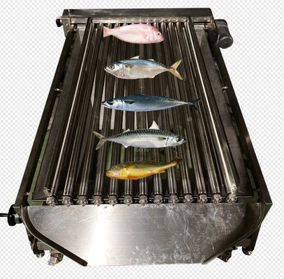 Harga yang bagus Mesin Pengukuran Ikan Otomatis Berkecepatan Tinggi Untuk Mengelompokkan Banyak Jenis Ikan Samudra on line