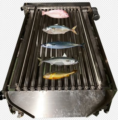 Harga yang bagus Kapasitas 5-10T/H Mesin Pengurut Otomatis Ikan, Ukuran Ikan Kecil Dan Pengurut Samudra on line