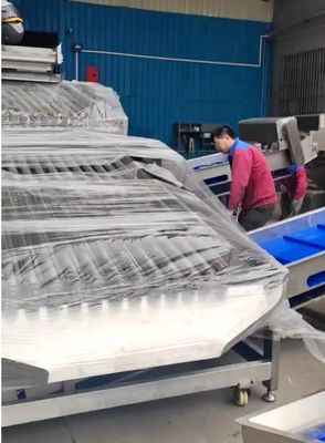 Harga yang bagus Dapat Customed Ocean Fish Grader Dan Peralatan Sortasi Ikan Untuk Kapasitas Besar on line