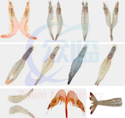 Harga yang bagus High Speed Shrimp Deveiner, Shrimp Deveining Machine dan Mesin Udang on line