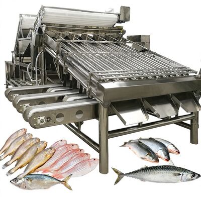 Harga yang bagus Zolim Kecepatan Tinggi Mesin Pengurut Saury Otomatis Roller Grader 1 Orang Operator Ikan Kecil Peralatan Pengukuran Makanan Laut on line