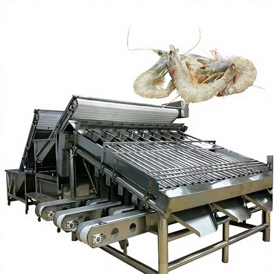 Harga yang bagus SUS304 Mesin Pembuatan Udang Praktis, Anti Korosi Udang Grader Kapasitas Tinggi Udang Ukuran Mesin Udang Sorter on line