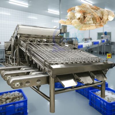 Harga yang bagus Mesin Pengurut Udang Industri untuk Pengolahan Udang Mesin Pengurut Udang tahan air Mesin Pengukuran Udang Otomatis on line