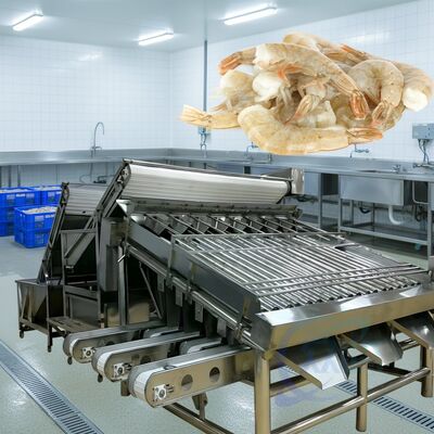 Harga yang bagus Mesin Pengelompokkan Udang Roller tahan lama 1500kg-2000kg/H Roller Shrimp Sorter High Stable Roller Shrimp Sizing Machine untuk Seafood on line