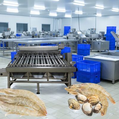 Harga yang bagus Mesin Pengukuran Udang Baja Karet 4.9kw Mesin Pengolah Udang untuk Pengolahan Makanan Laut Zolim Mesin Pengolah Udang Udang on line