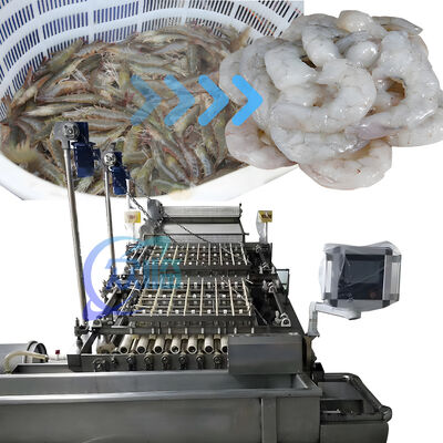 Harga yang bagus Peralatan Pengelupasan Udang Kapasitas Besar / Udang Pengelupasan Deveiner / Udang Shell Removing Machine on line