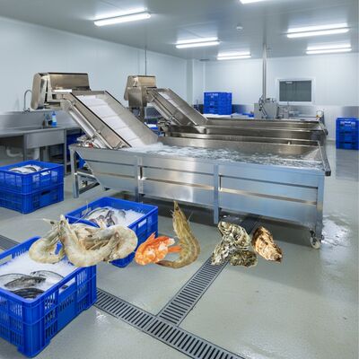 Harga yang bagus Zolim Bubble Washing Machine untuk Seafood 2.2kw Mesin pembersih ikan Smart Shrimp Washing Machine untuk Pabrik Pengolahan Seafood on line
