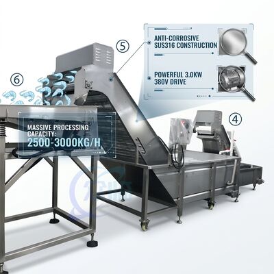 Harga yang bagus Heavy Duty Shrimp Deheading Production Line Precision SUS316 1000-1500KG 11.7KW 415V on line