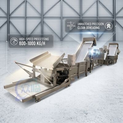 Harga yang bagus SUS316 Shrimp Deheading System Food Grade SUS304 800-1000KG 3.0KW 415V For Fish Processing Plant on line