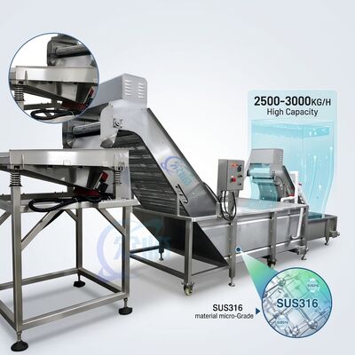 Harga yang bagus Multiscene Shrimp Deheading Sorting Machine SUS304 Stainless Steel 1500-2000KG 3.0KW 380V on line