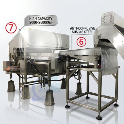 Harga yang bagus Efficient Shrimp Deheading Production Line Precision SUS316 1500-2000KG 7.5KW 415V on line